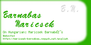 barnabas maricsek business card